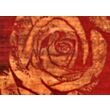 Red Rose