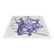 Rug Splash