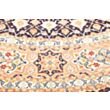 Tabriz 50 Raj