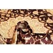 Ghom Silk 
